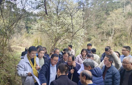 黎平县大斗水库工程可行性研究报告 州级技术预审会顺利召开